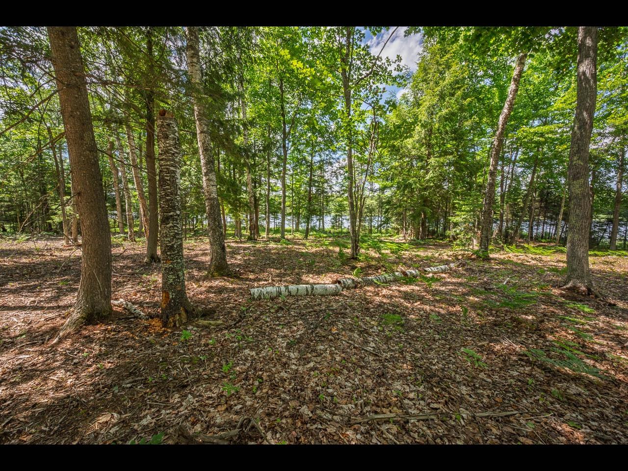 Clearwater Lake Property Lot 165 Clearwater Lake Tr Photo 6