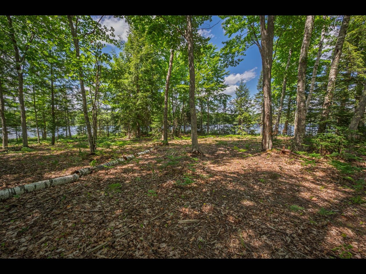Clearwater Lake Property Lot 165 Clearwater Lake Tr Photo 7