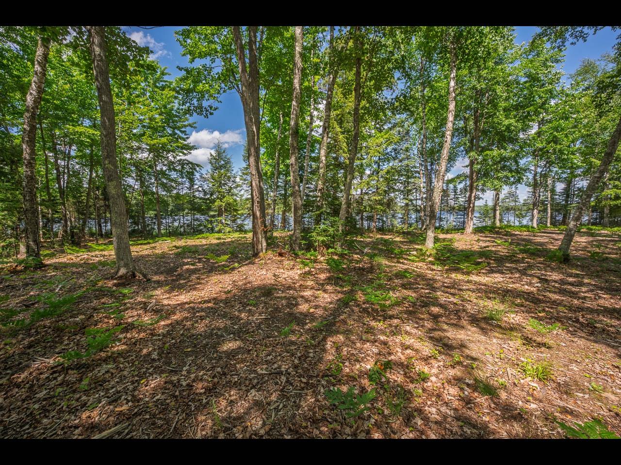 Clearwater Lake Property Lot 165 Clearwater Lake Tr Photo 8