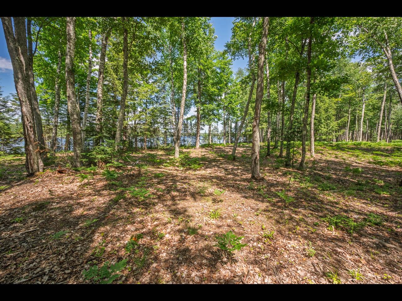 Clearwater Lake Property Lot 165 Clearwater Lake Tr Photo 9