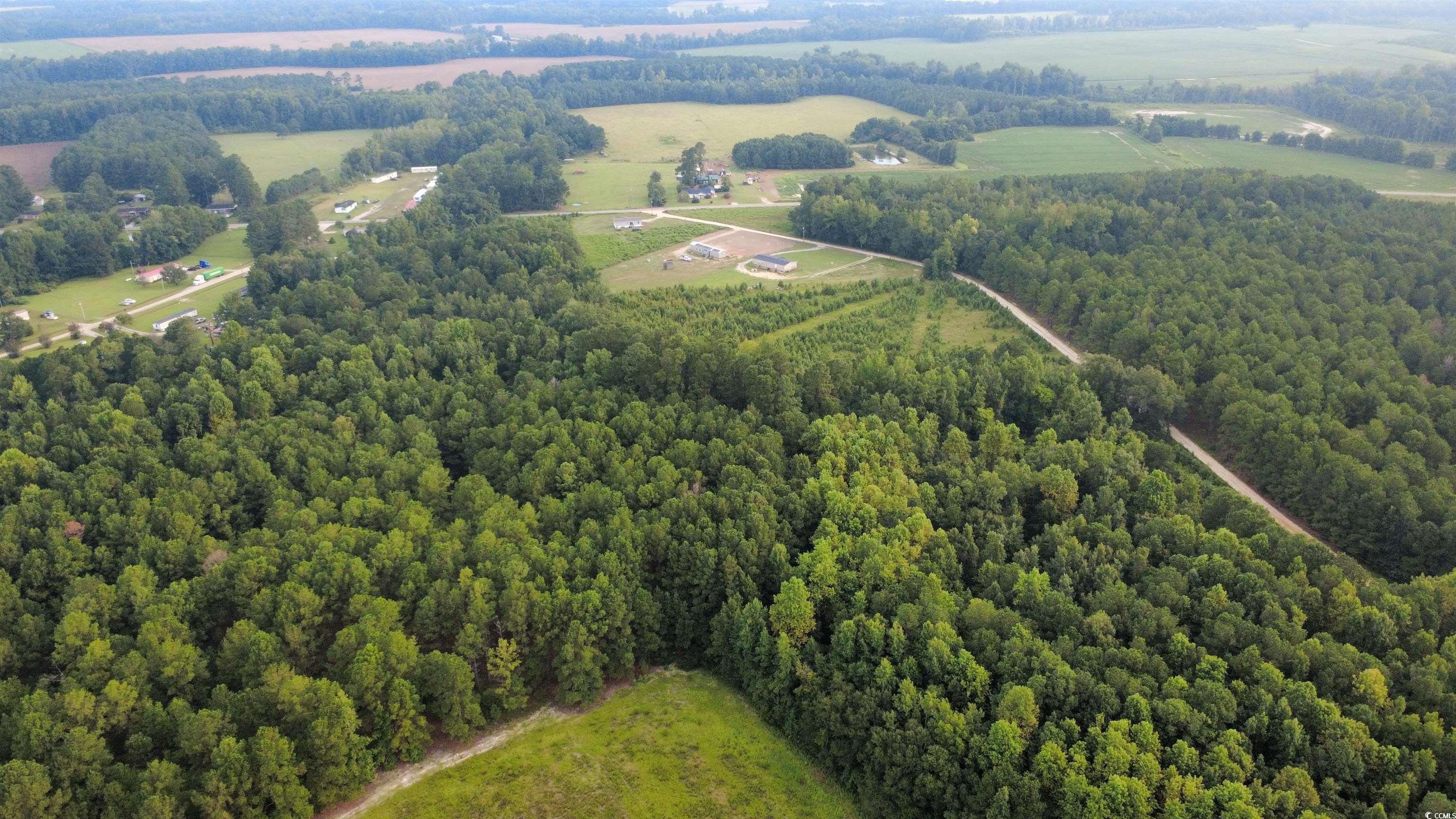 TBD Tooge Hayes Rd. Mullins, SC 29574