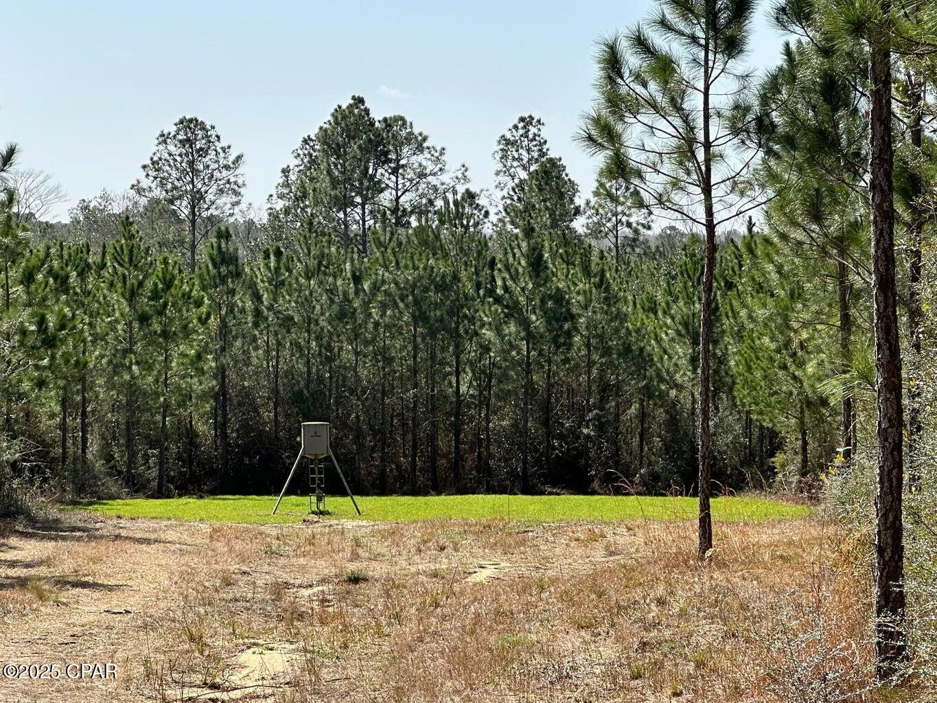 Image 11 For Tract#6416 S Douglas Ferry Road