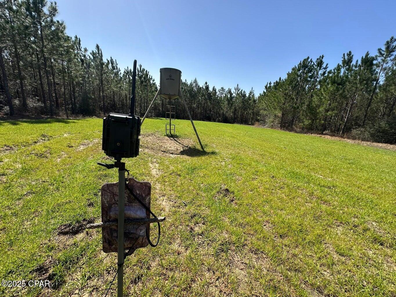 Image 12 For Tract#6416 S Douglas Ferry Road