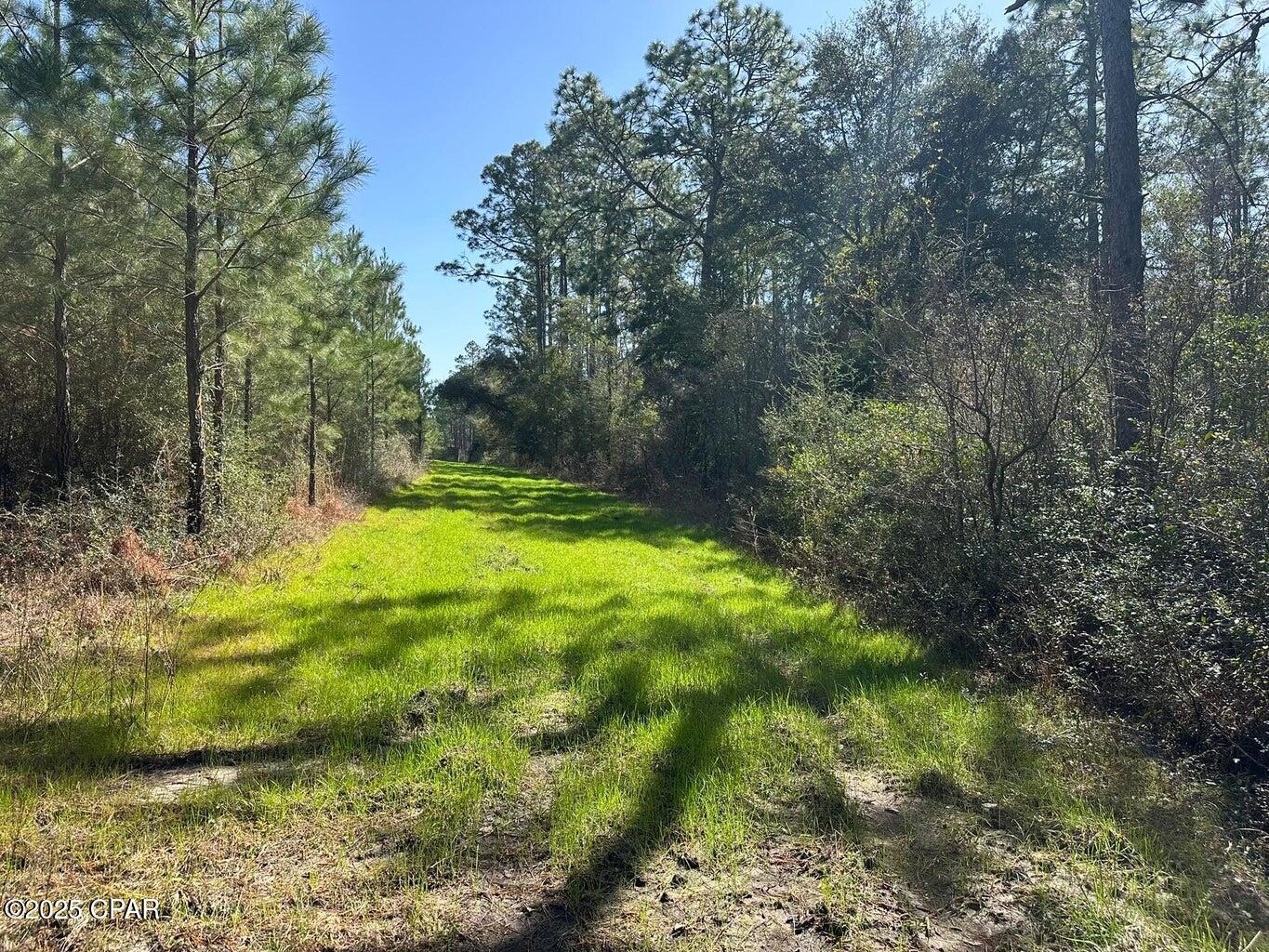 Image 13 For Tract#6416 S Douglas Ferry Road