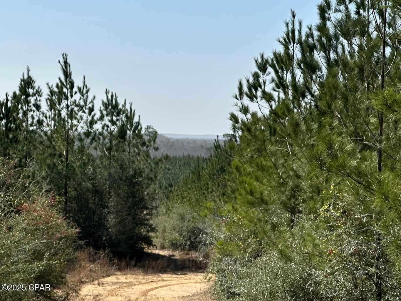 Image 4 For Tract#6416 S Douglas Ferry Road