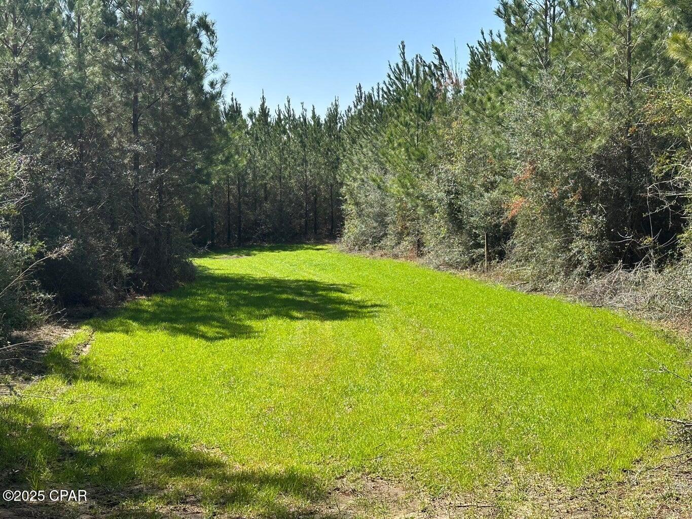 Image 7 For Tract#6416 S Douglas Ferry Road