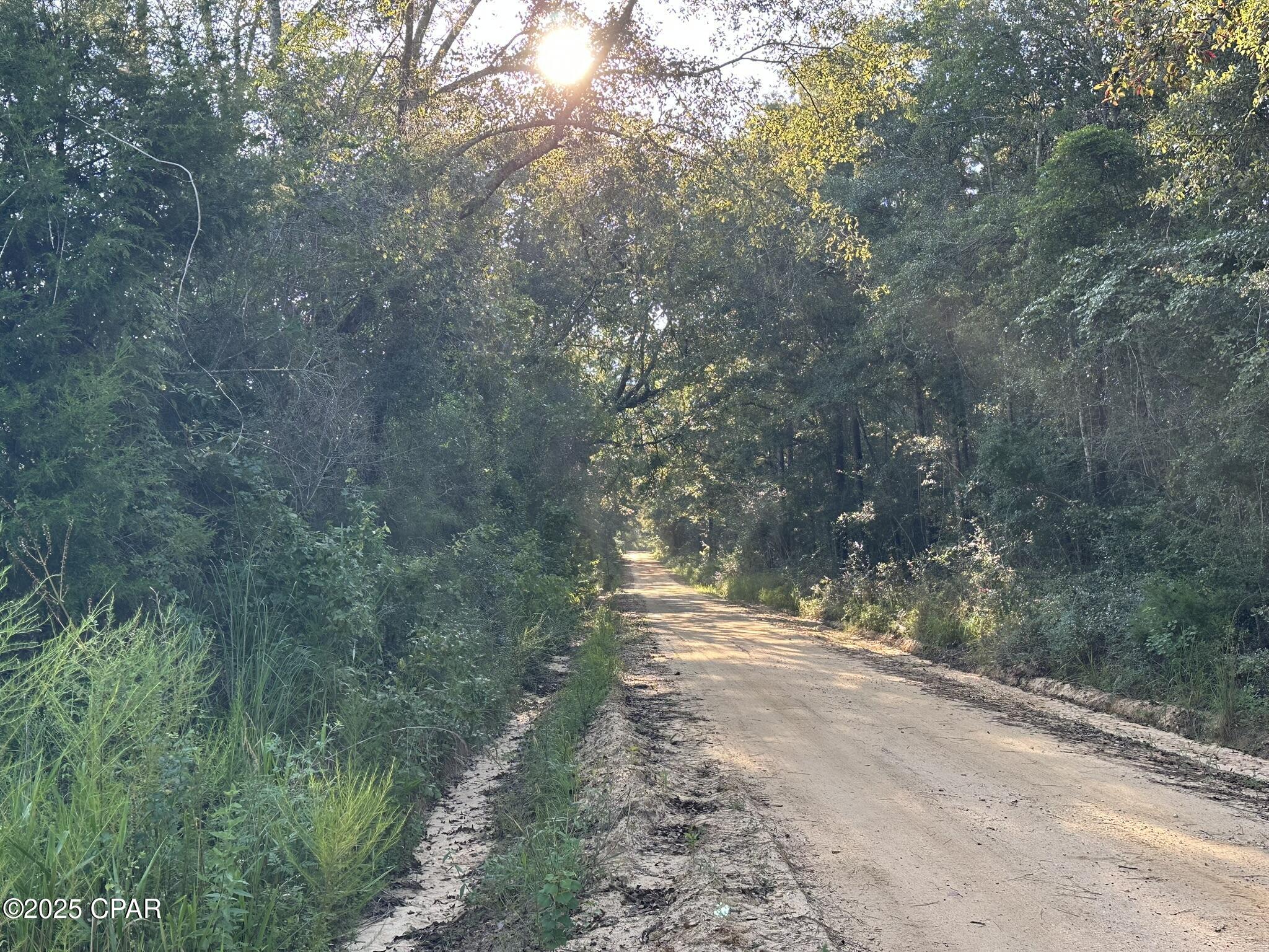 Details for Tract#6201 Doyle Morgan Road, Defuniak Springs, FL 32433