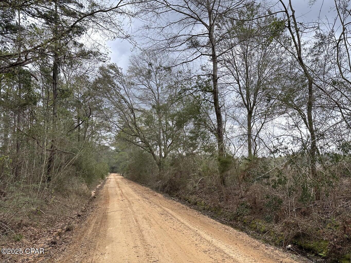 Details for Tract#6201 Doyle Morgan Road, Defuniak Springs, FL 32433
