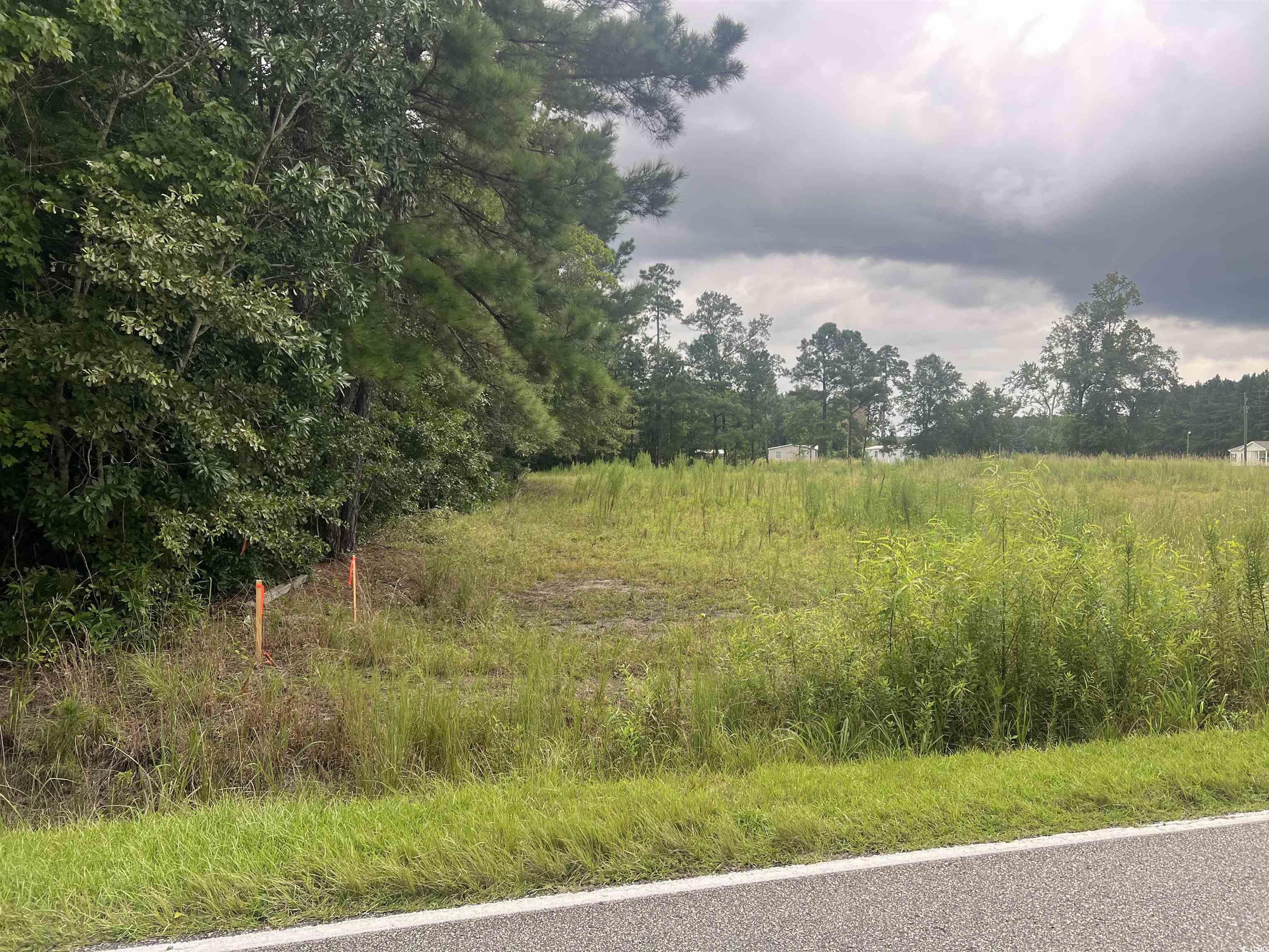 TBD Highway 366 Loris, SC 29569