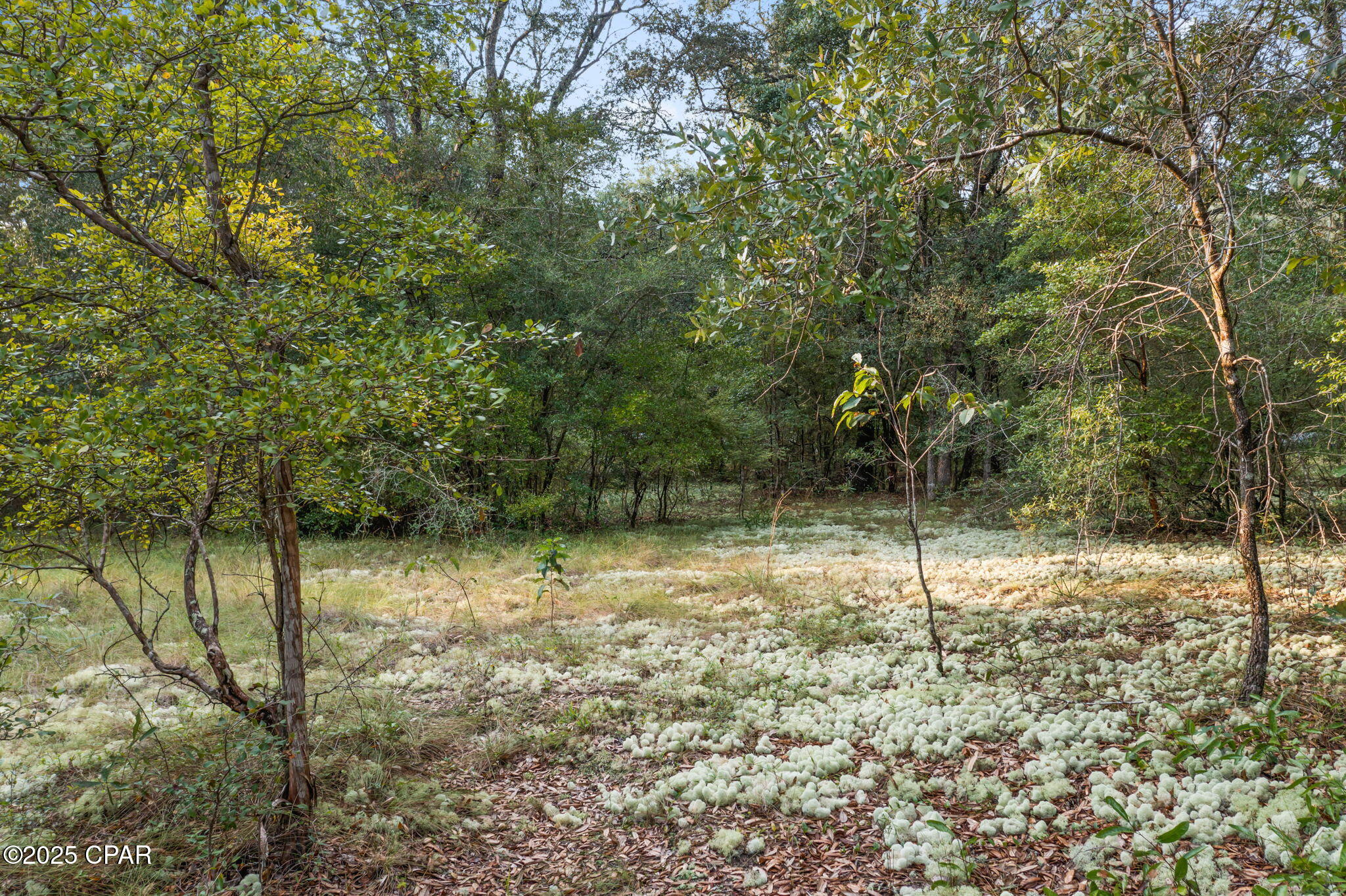 Image 35 For 4076 Pentas Way