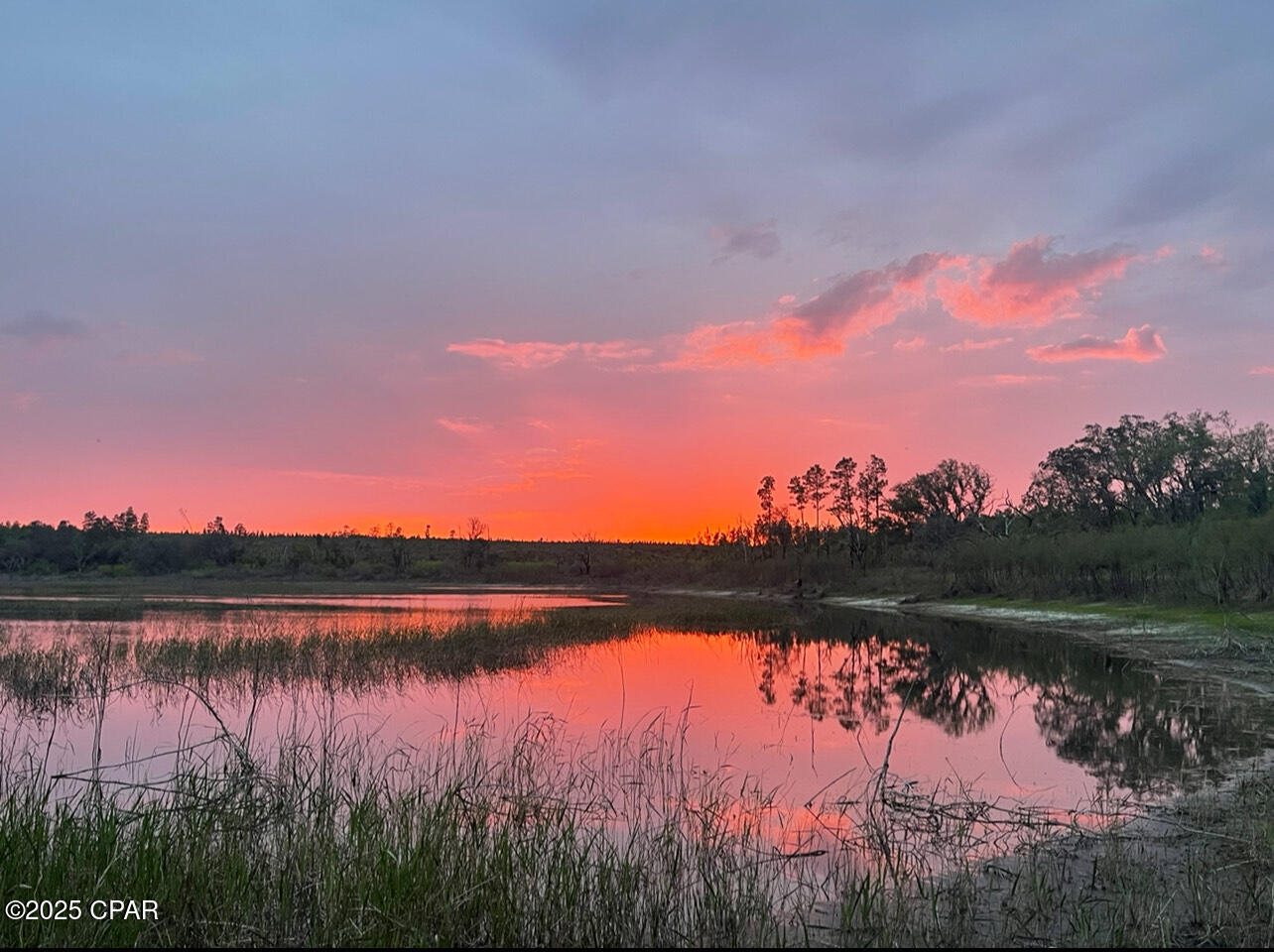 Image 40 For 2094 Morven Street