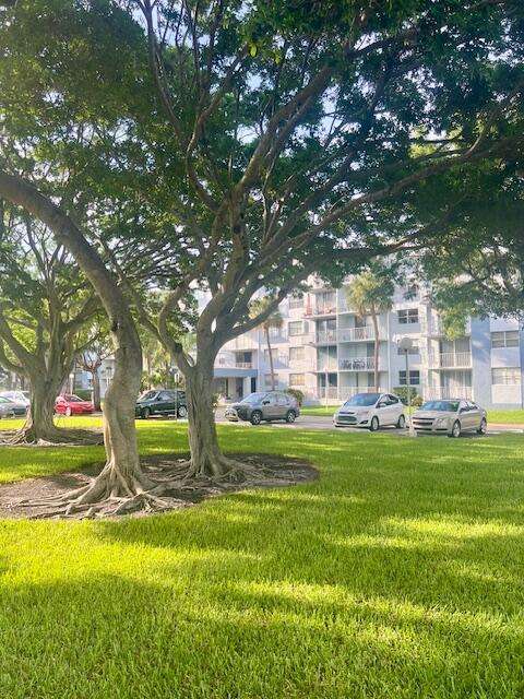 Breakwaters Of The Palm B