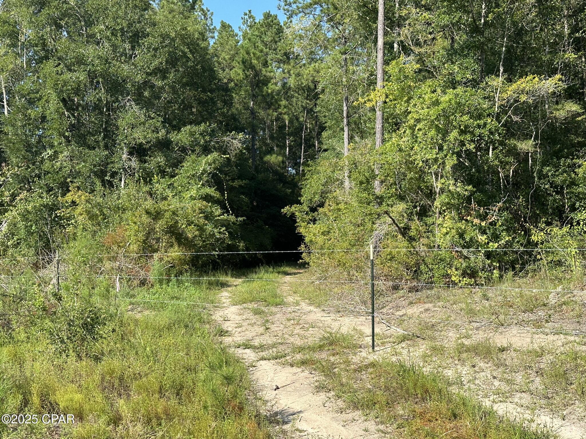 Image 4 For Tract#6409 River Road