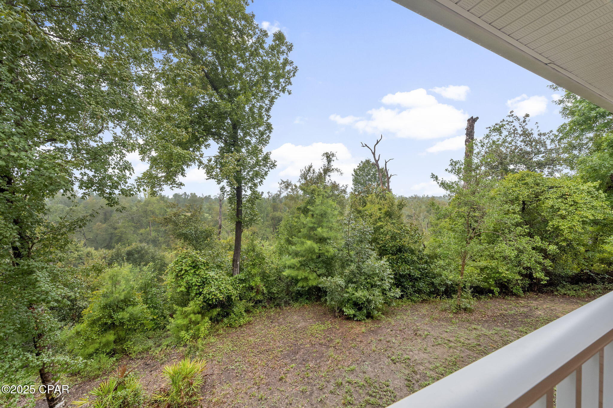 Image 20 For 13935 Blue Springs Road