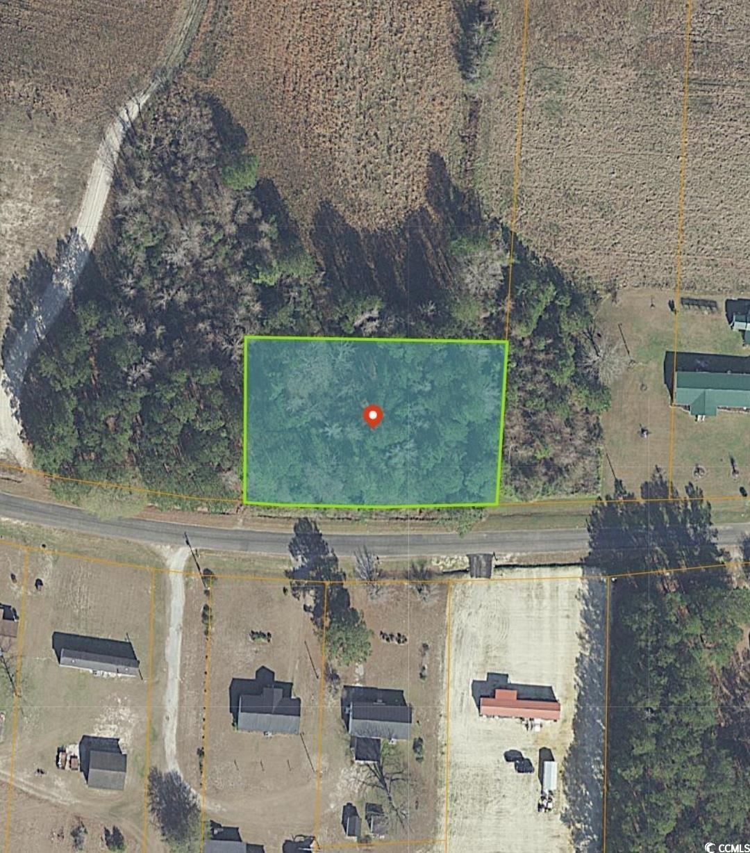 TBD Bethel Chapel Rd. Loris, SC 29569