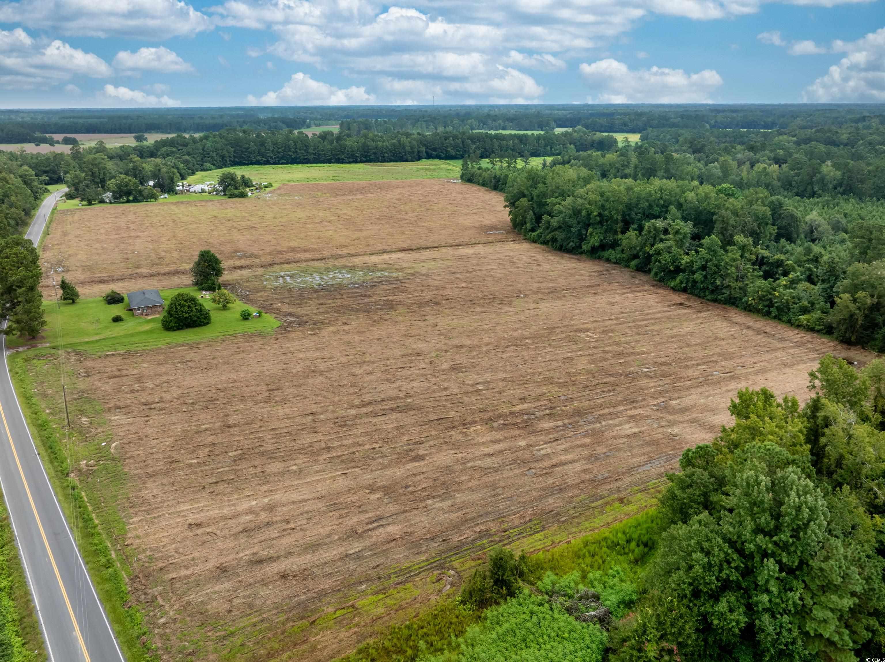 TBD Mount Olive Church Rd. Nichols, SC 29581