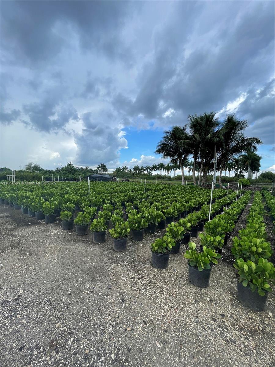  , Homestead, Florida 33030