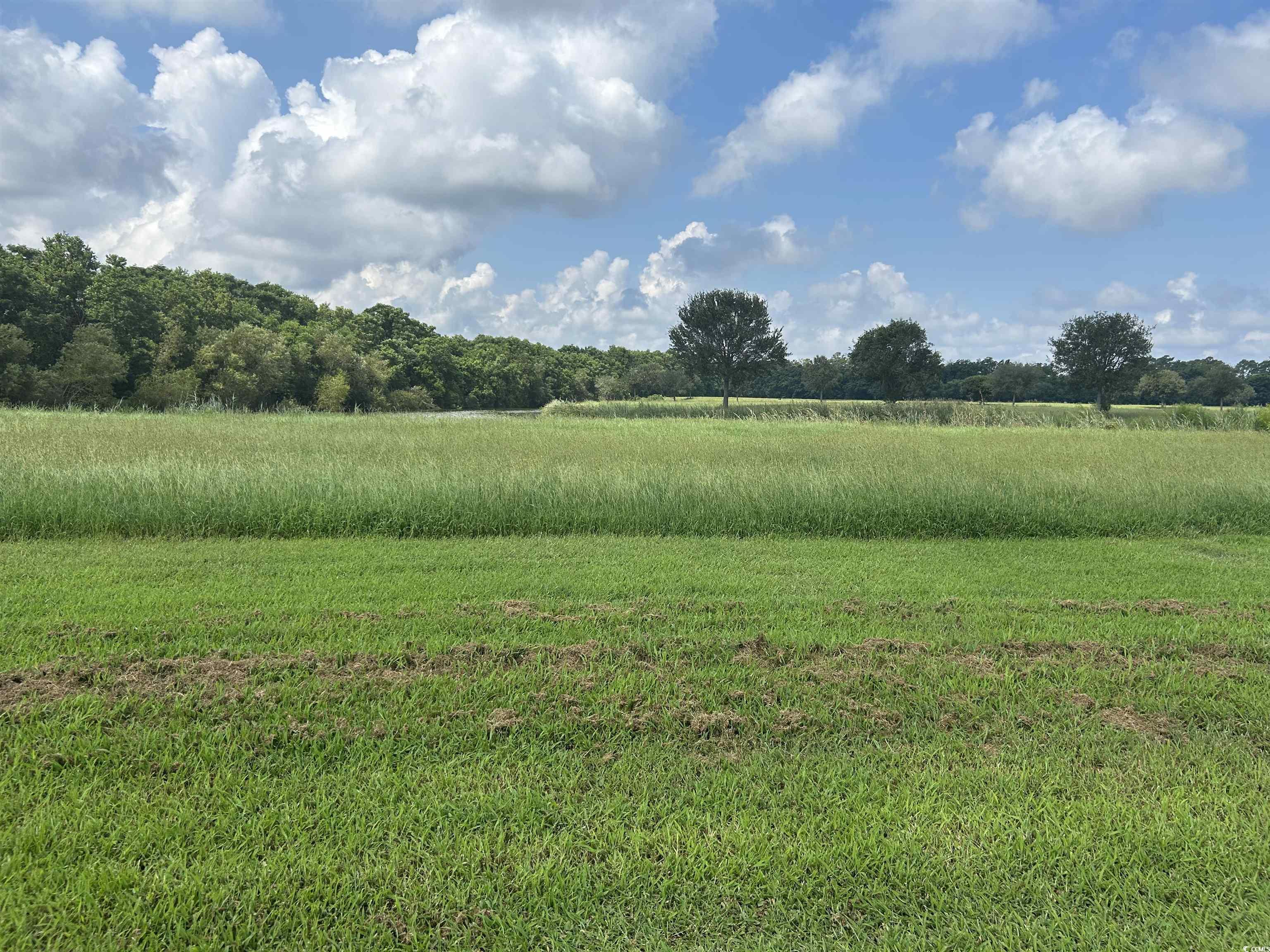 TBD Ferry House Point Georgetown, SC 29440
