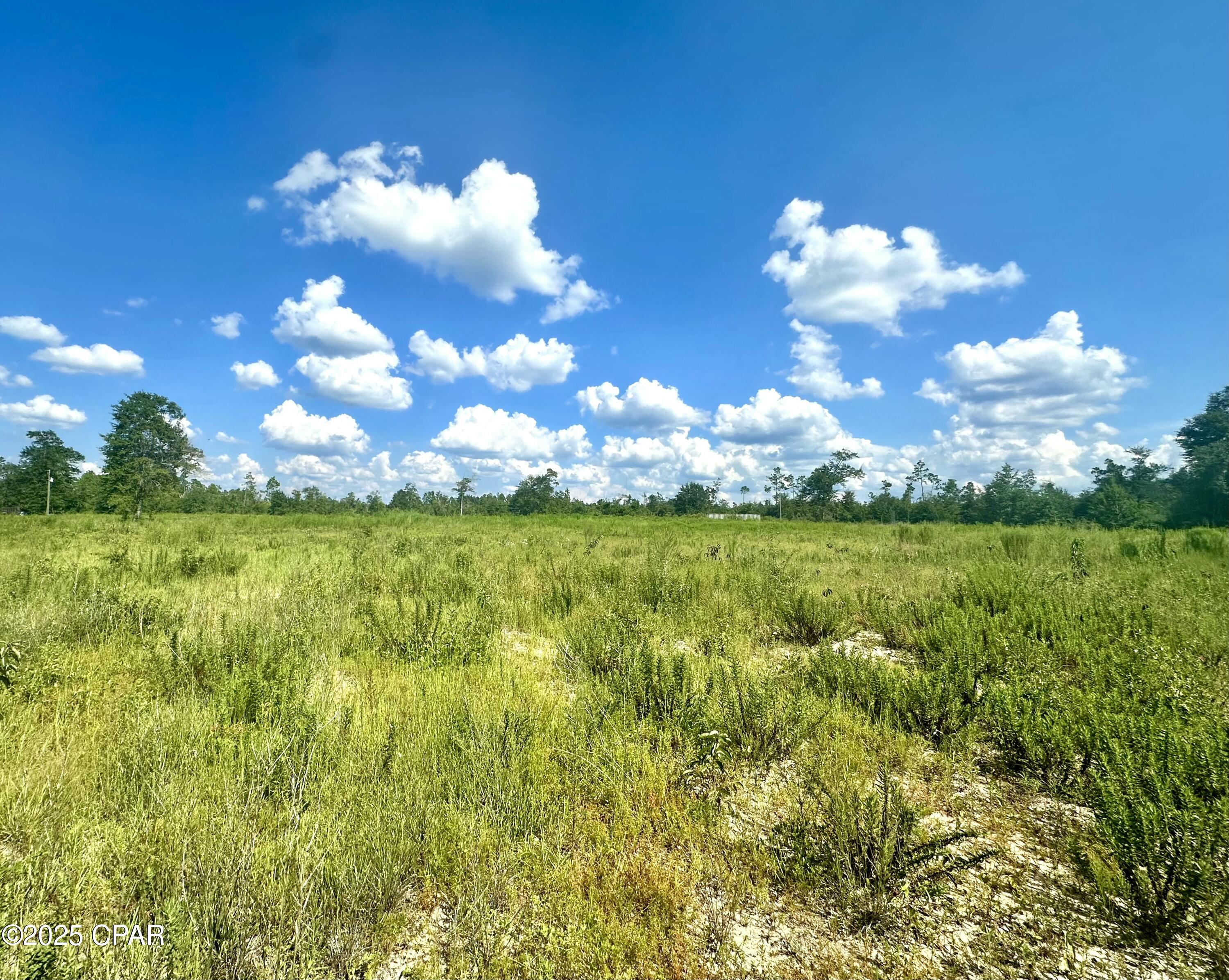 Image 3 For 12810 Hwy 231