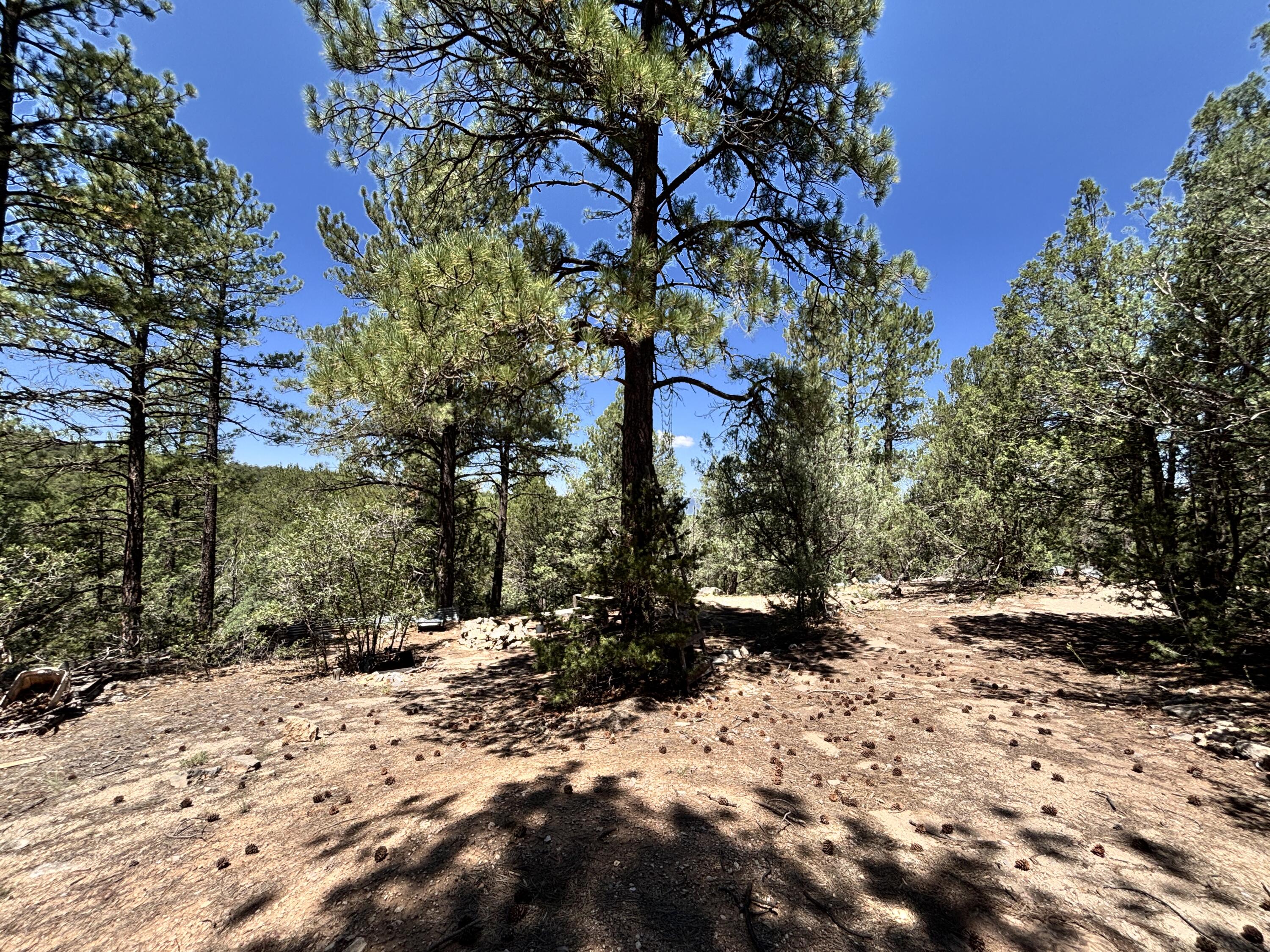 27 Green Shadows Lane, Tijeras