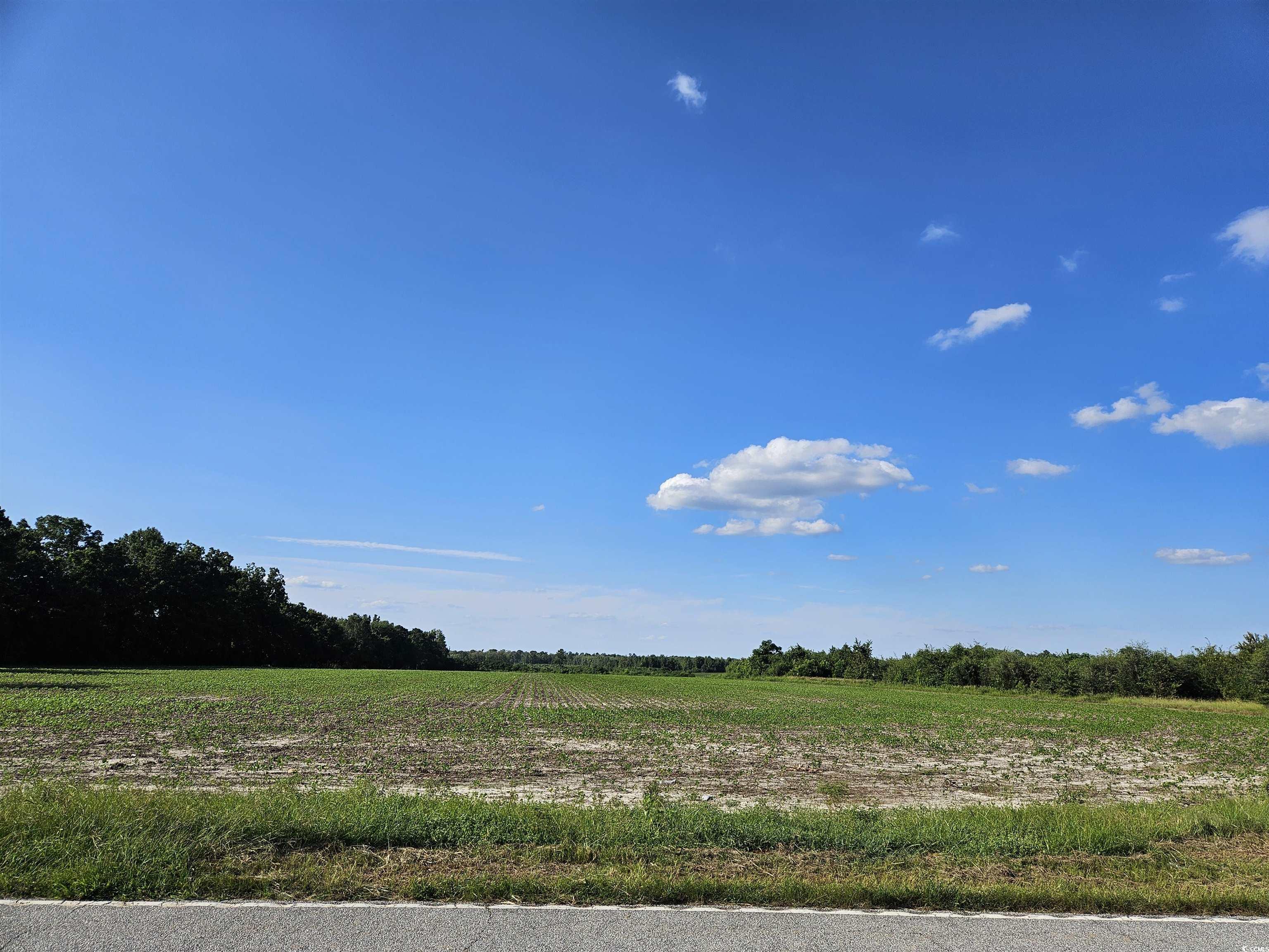 64 Acres-T Vox Hwy. Lake City, SC 29560