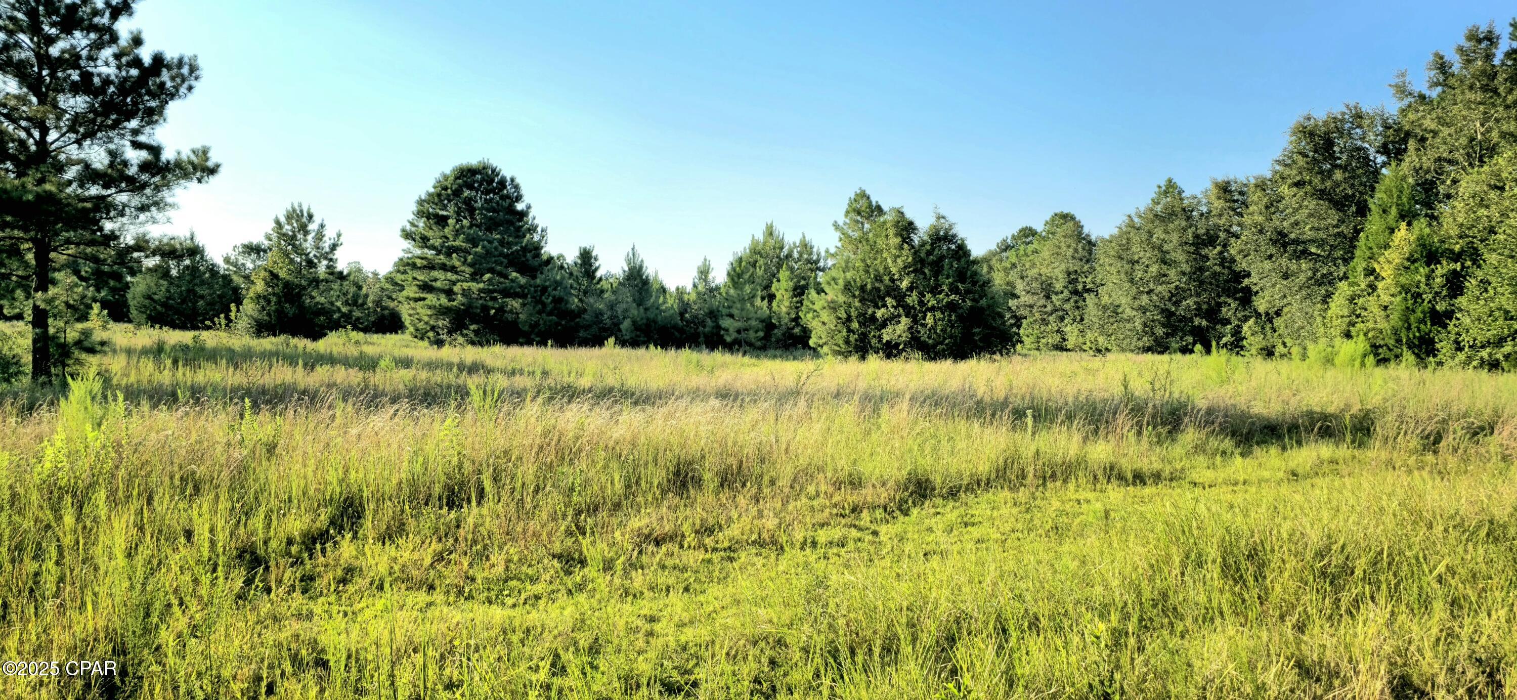 Image 2 For Parcel B Hwy 177a