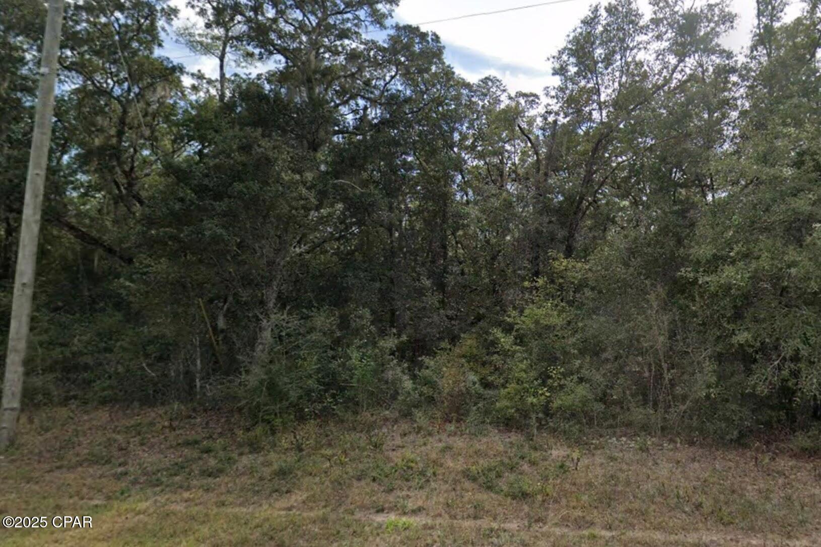 Image 3 For Lot 44 Apollo Drive