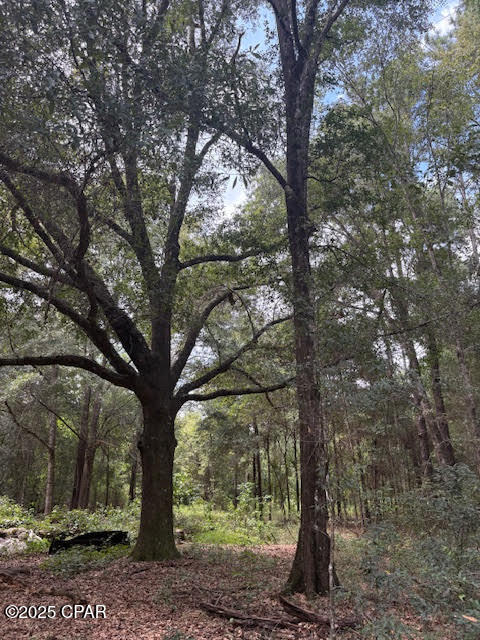 Image 1 For 4600 Pine Grove Church Road