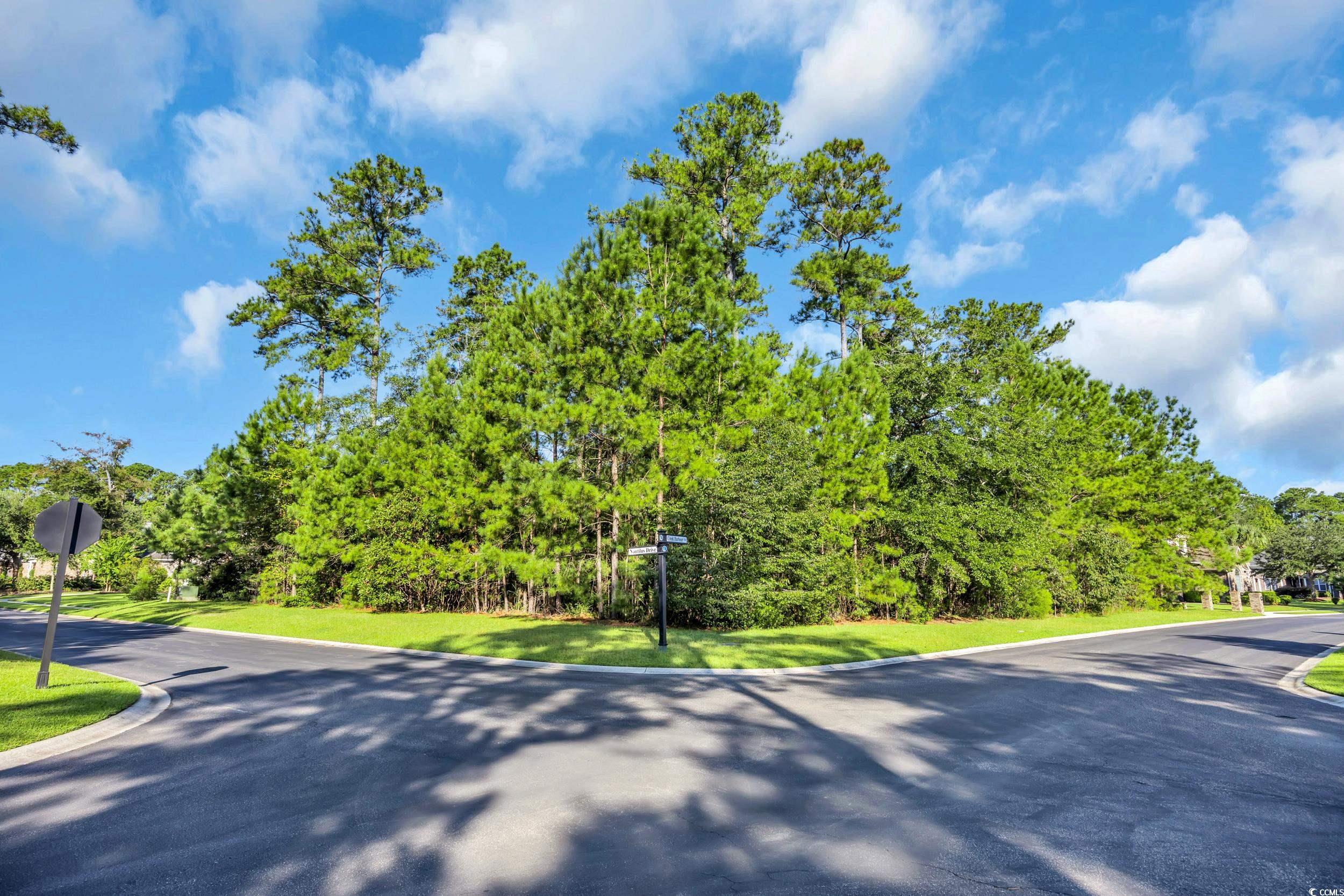 142 Creek Harbour Circle Murrells Inlet, SC 29576