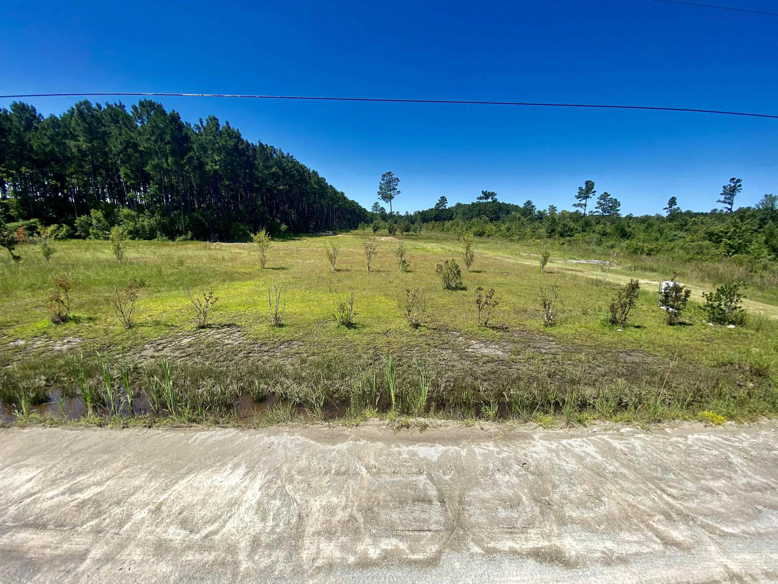 1259 Cheyenne Rd. Conway, SC 29526