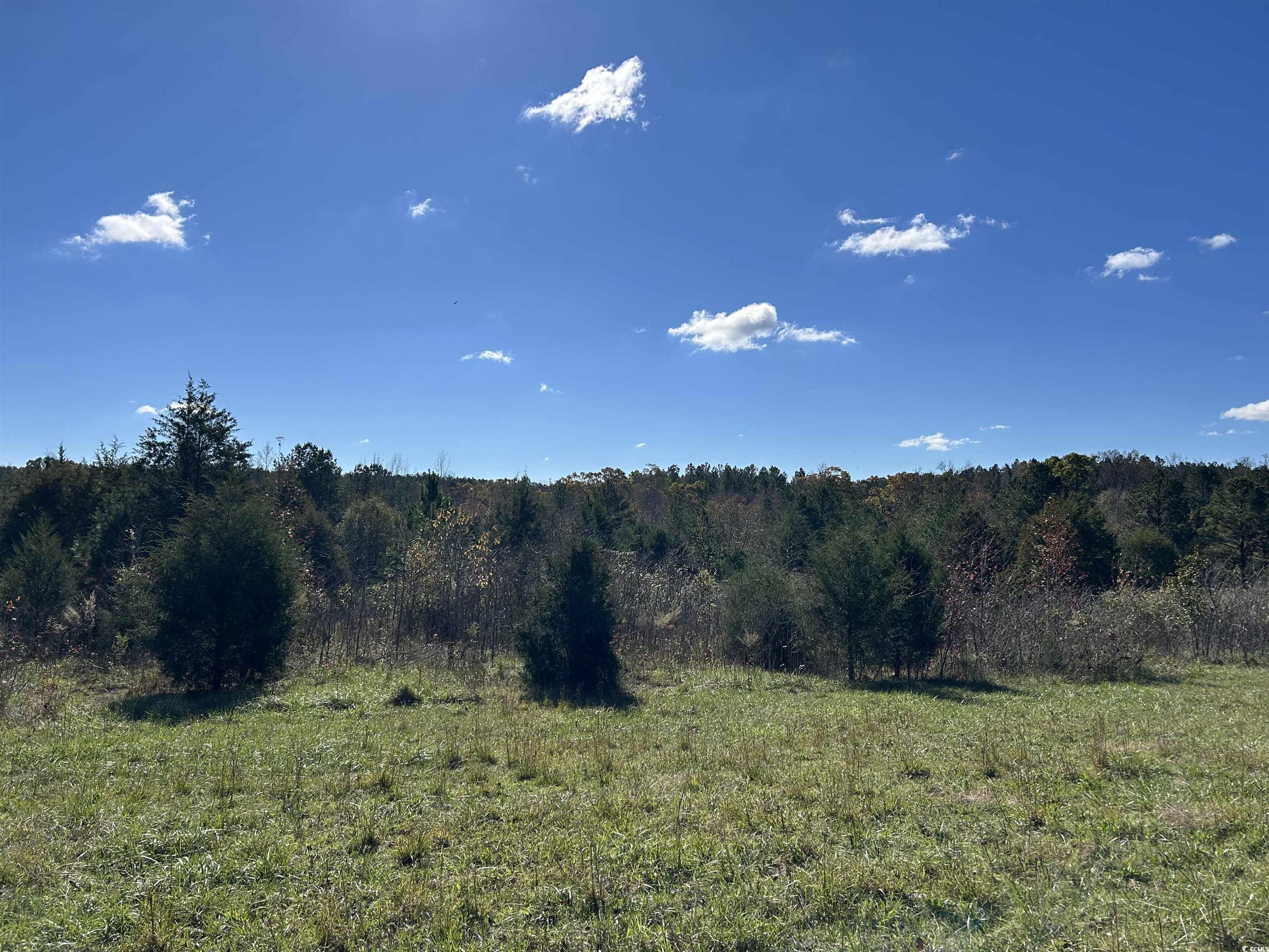 TBD River Fork Rd Waterloo, SC 29653