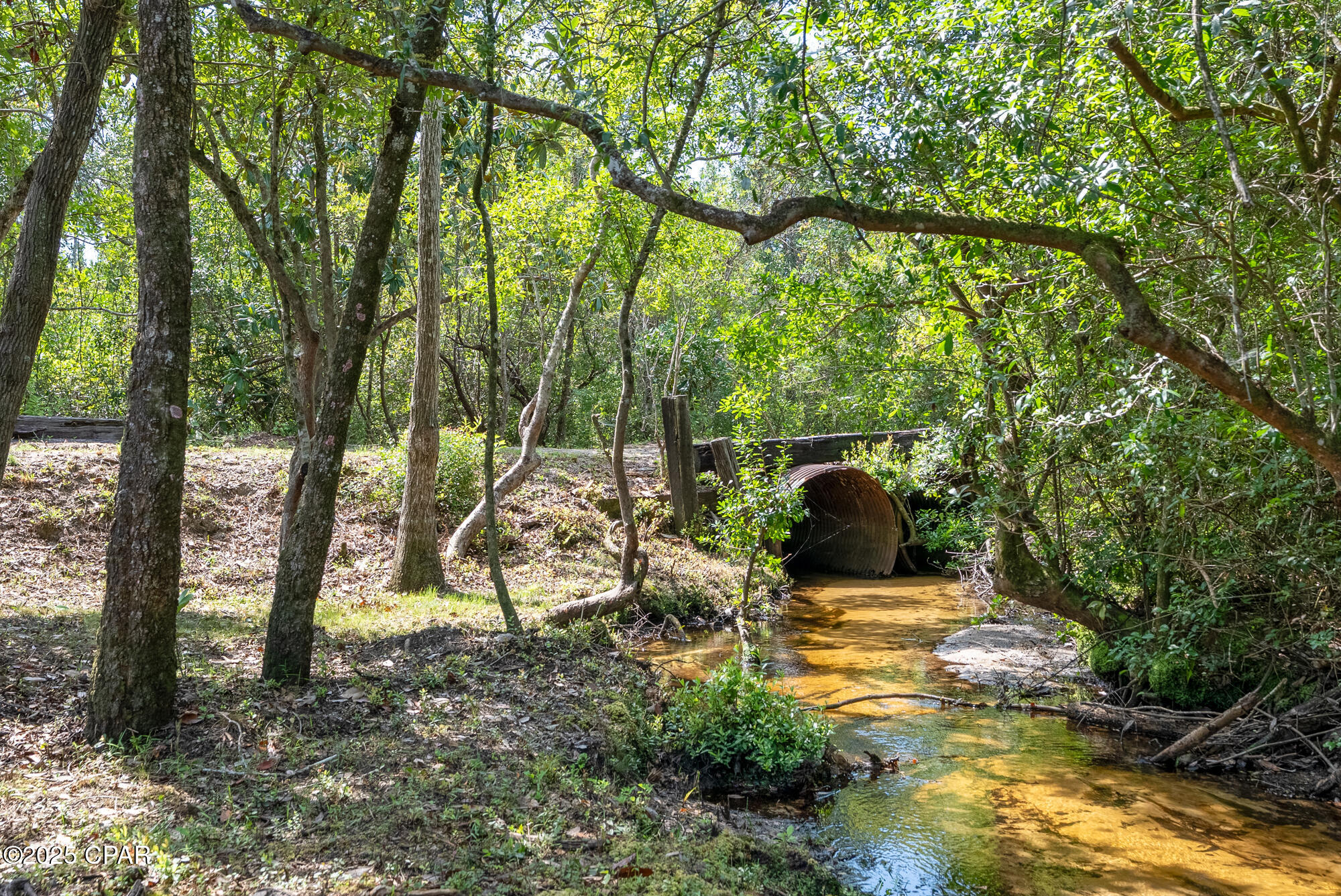 Image 41 For 20144 Whitewater Grade Road