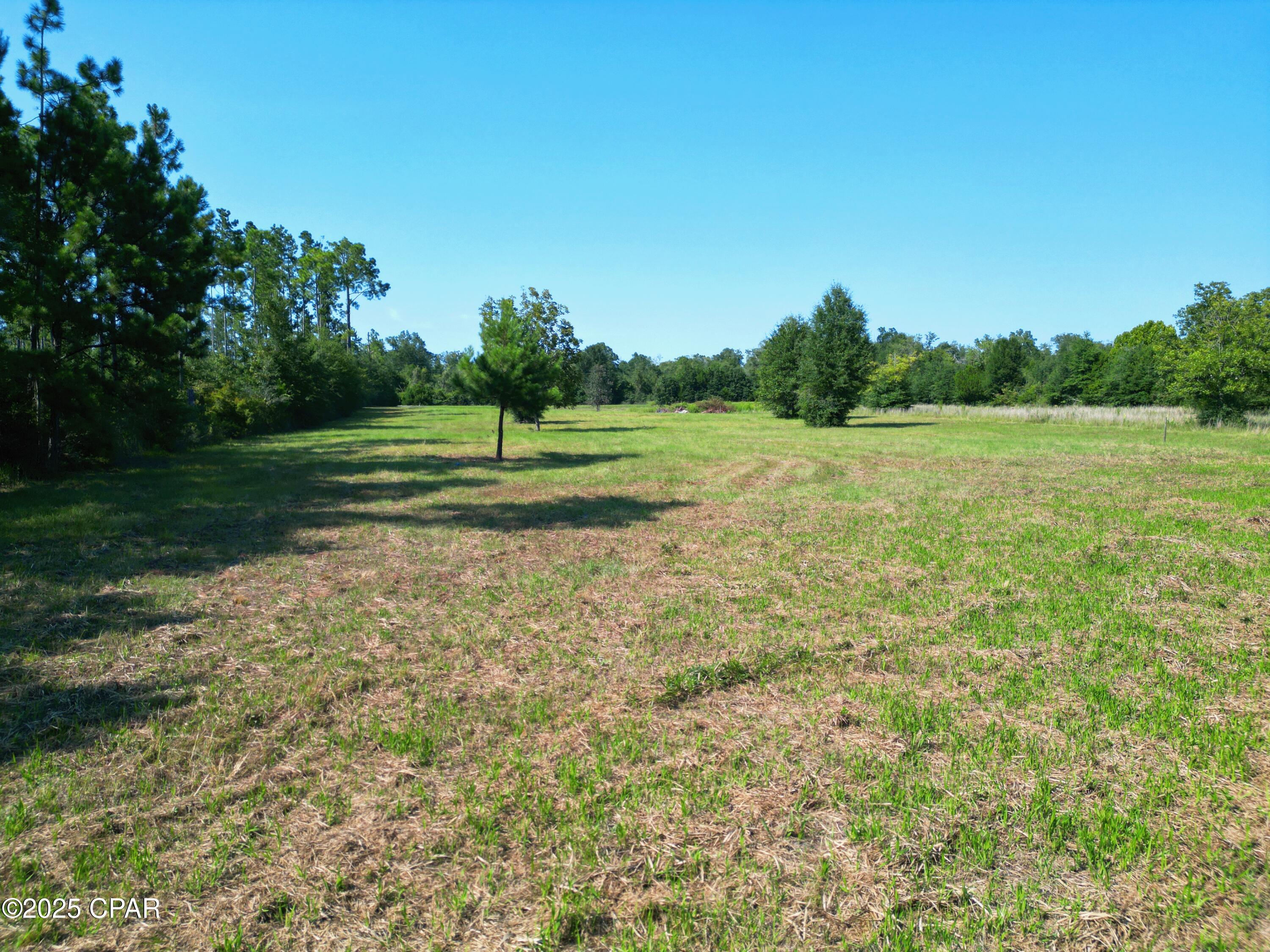 Details for Tbd County Road 274, Altha, FL 32421
