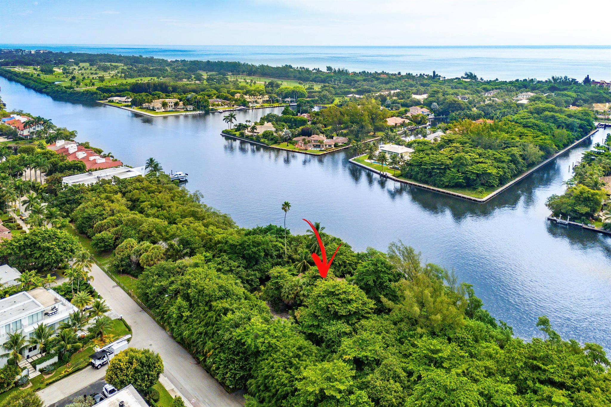 1001 Palm Trail