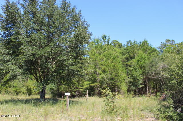 Image 6 For 0 Fairview Road