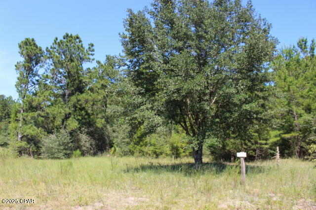 Image 7 For 0 Fairview Road