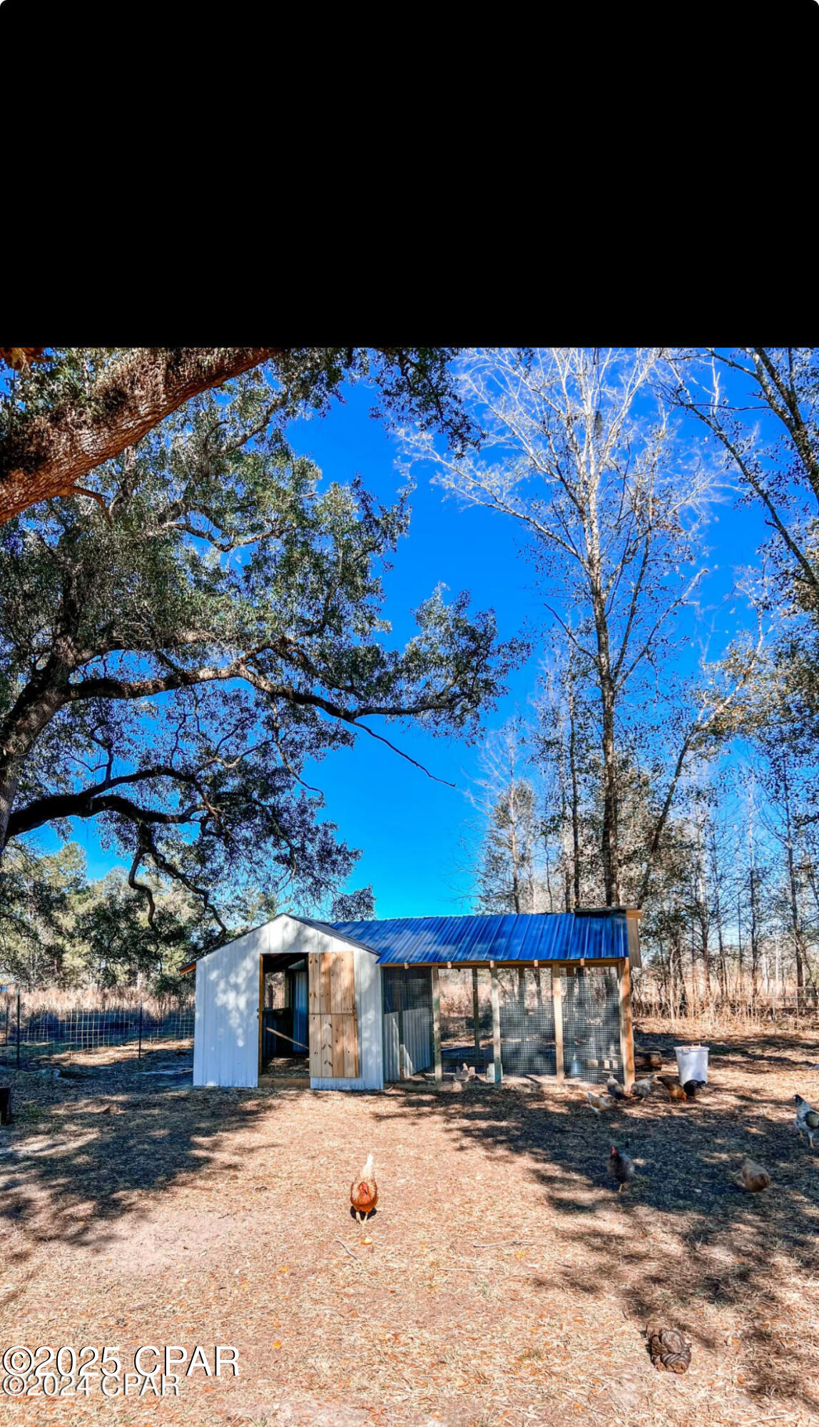 Image 31 For 3172 Sand Ridge Church Road