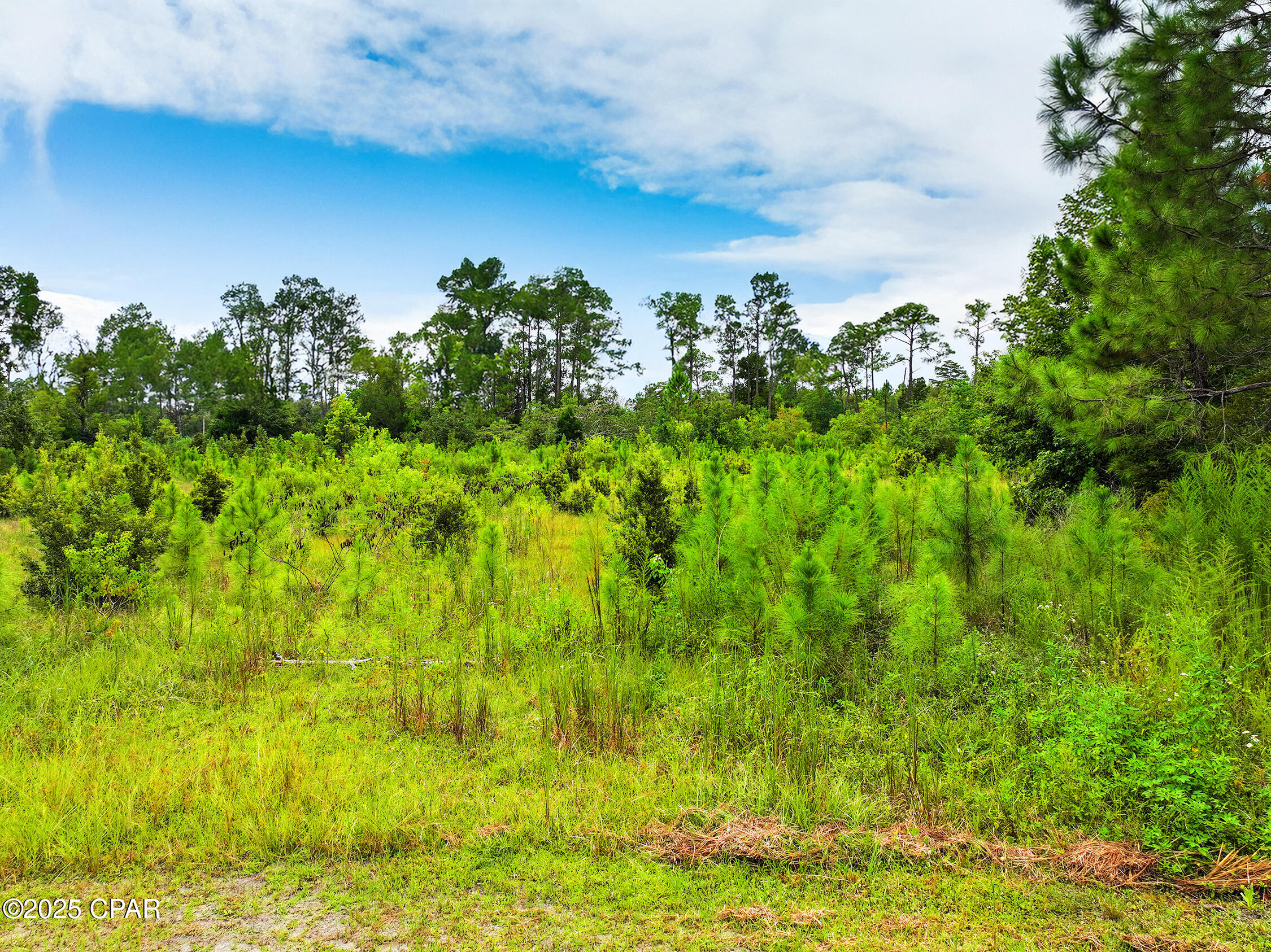 Image 11 For Tbd Sealy Drive