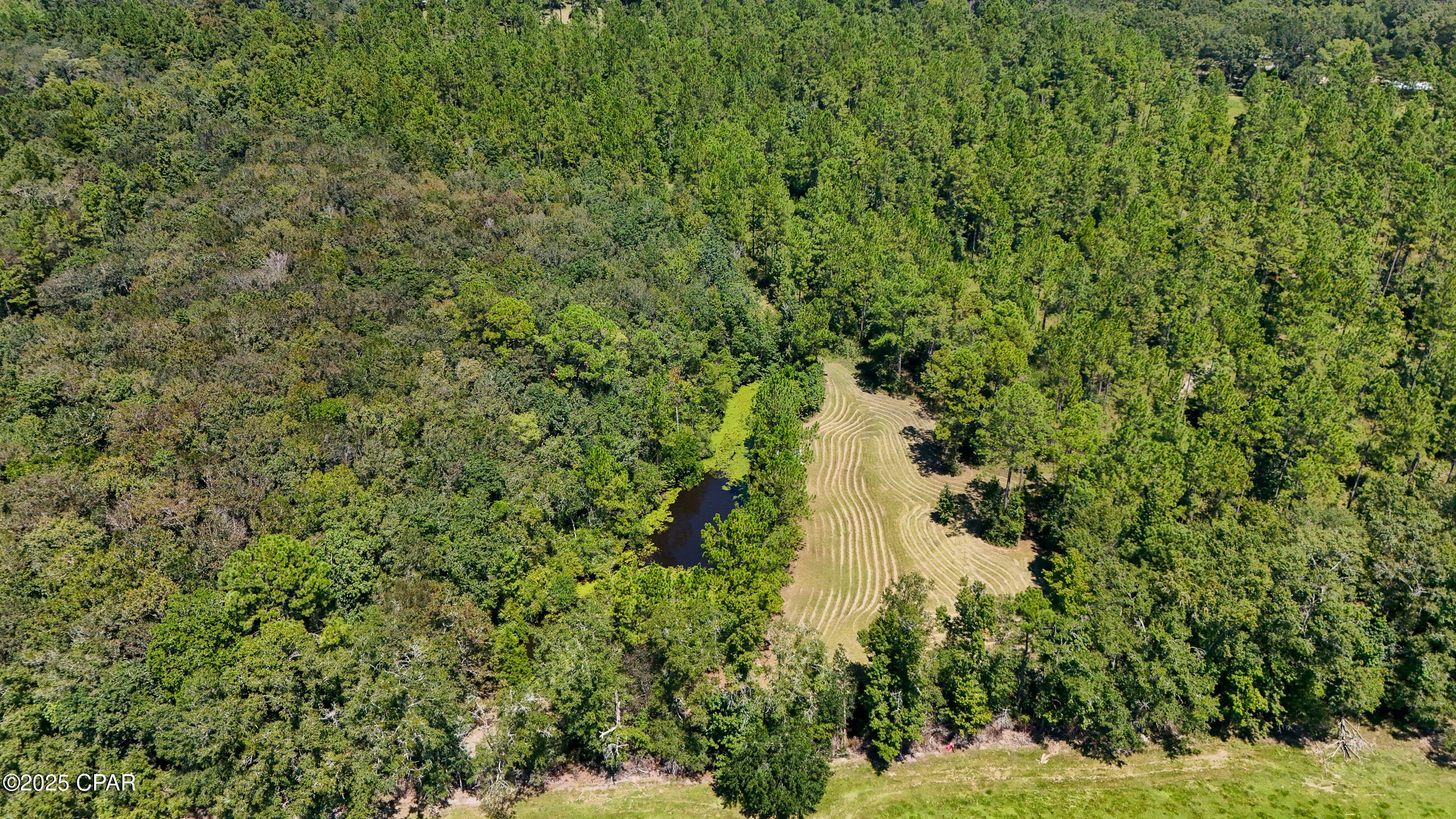 Image 29 For 2110 Highway 181