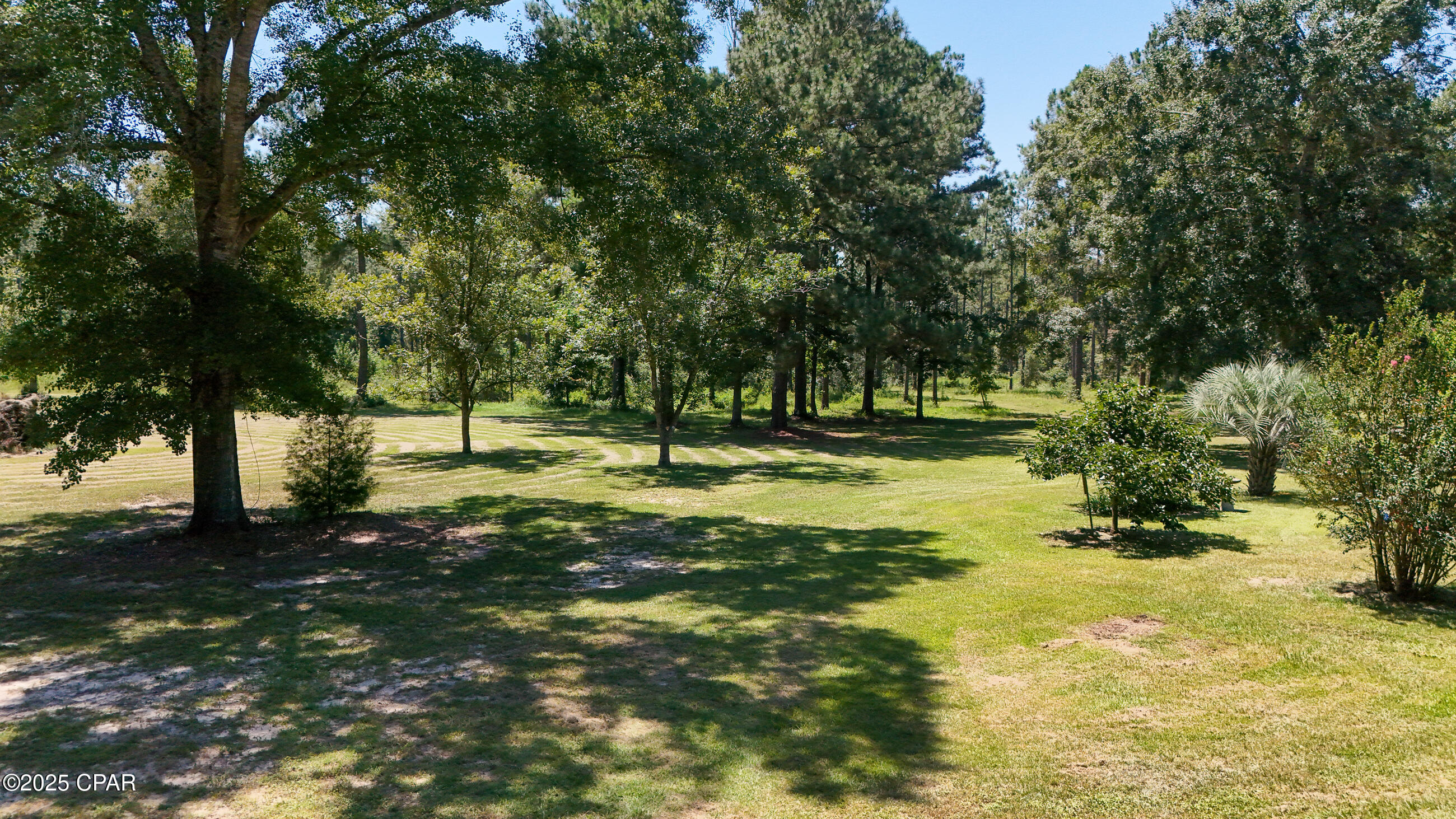 Image 6 For 2110 Highway 181