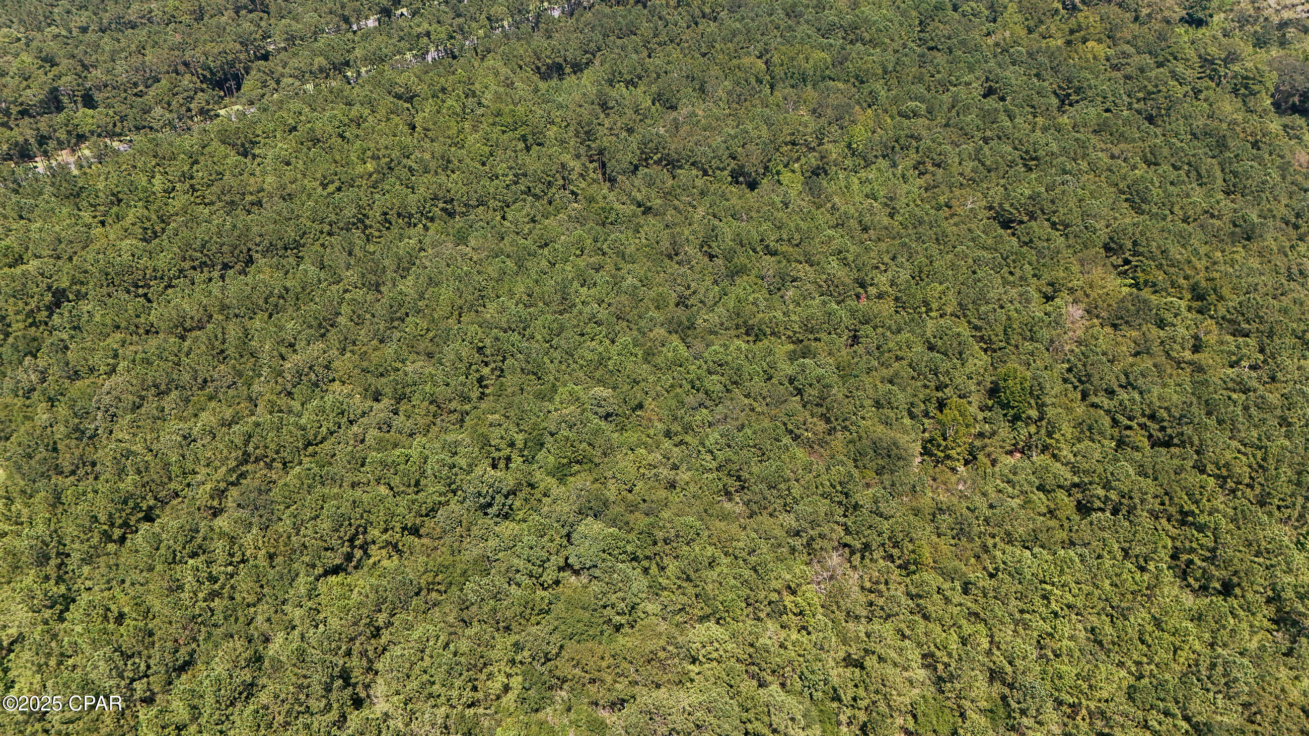 Image 11 For Tbd Lester Price Road