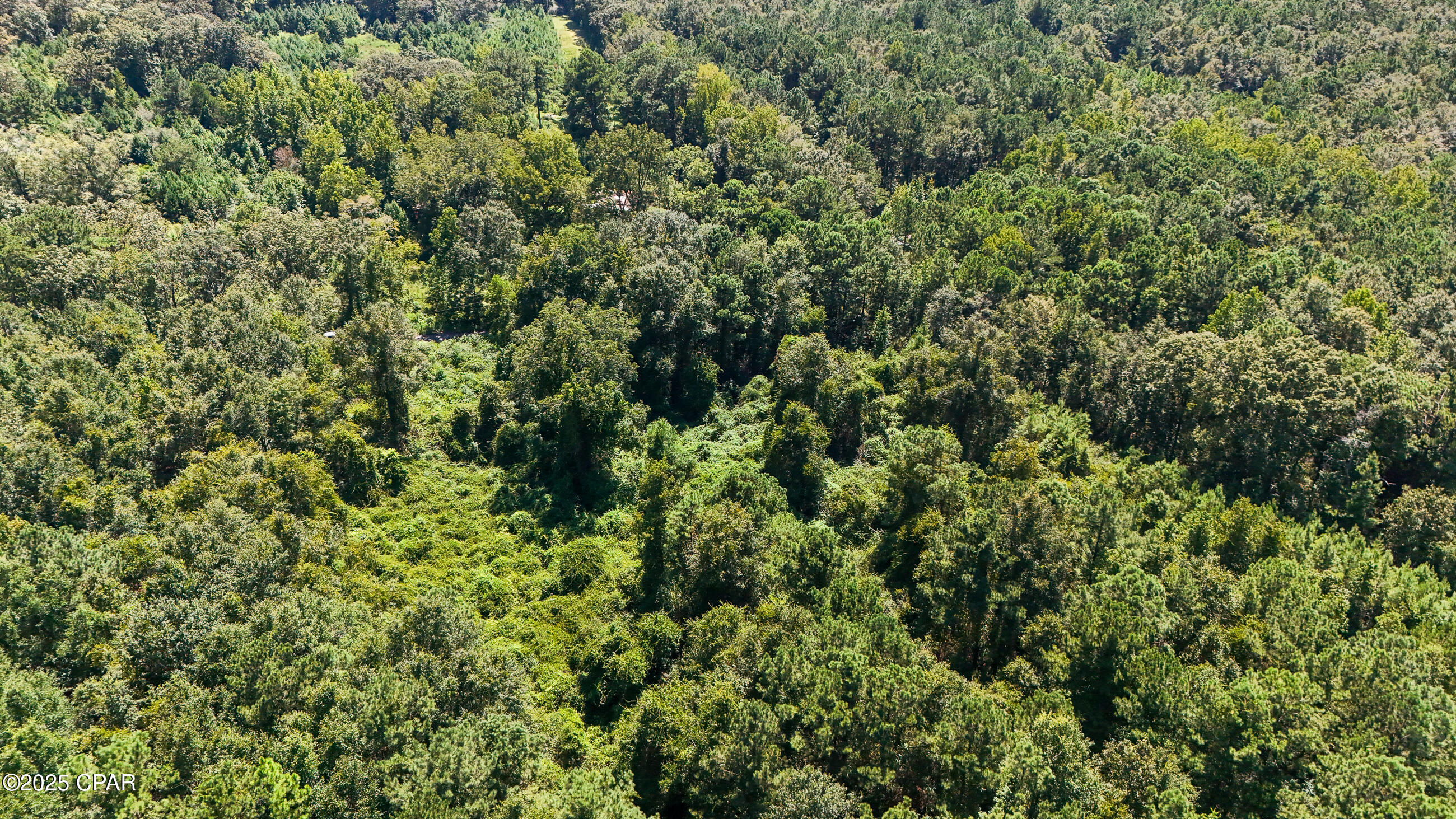 Image 13 For Tbd Lester Price Road