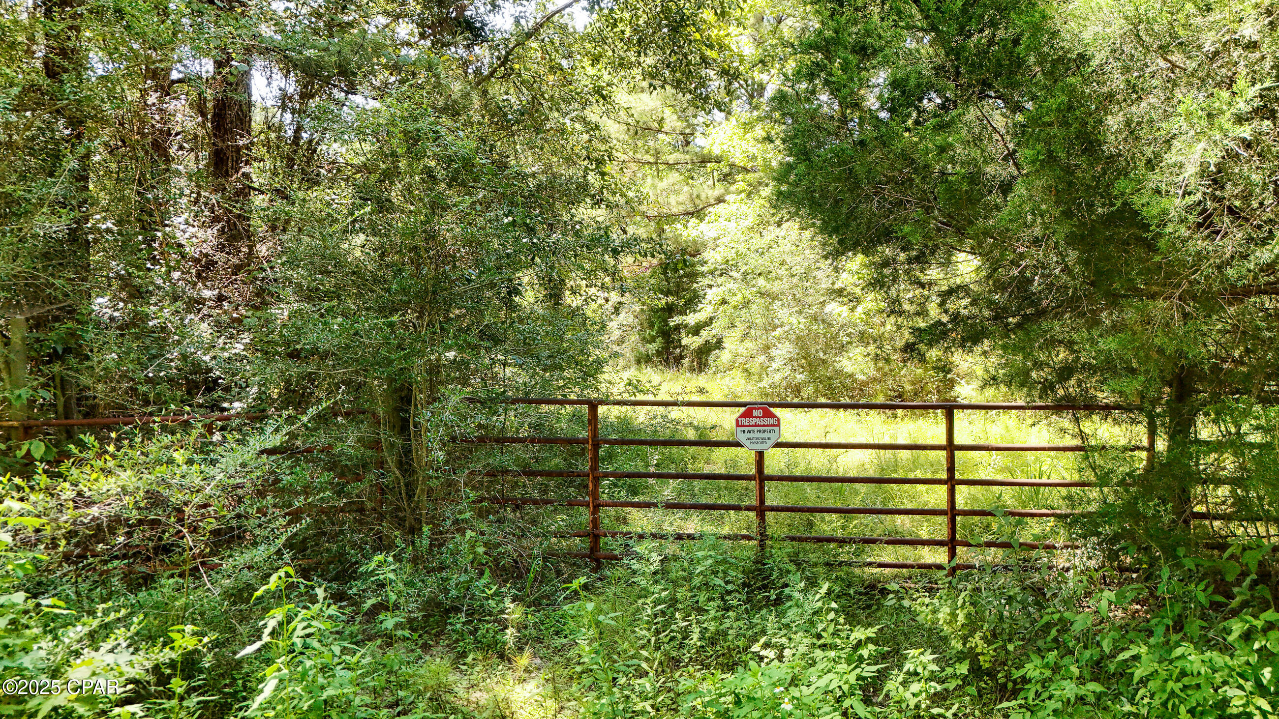 Image 6 For Tbd Lester Price Road
