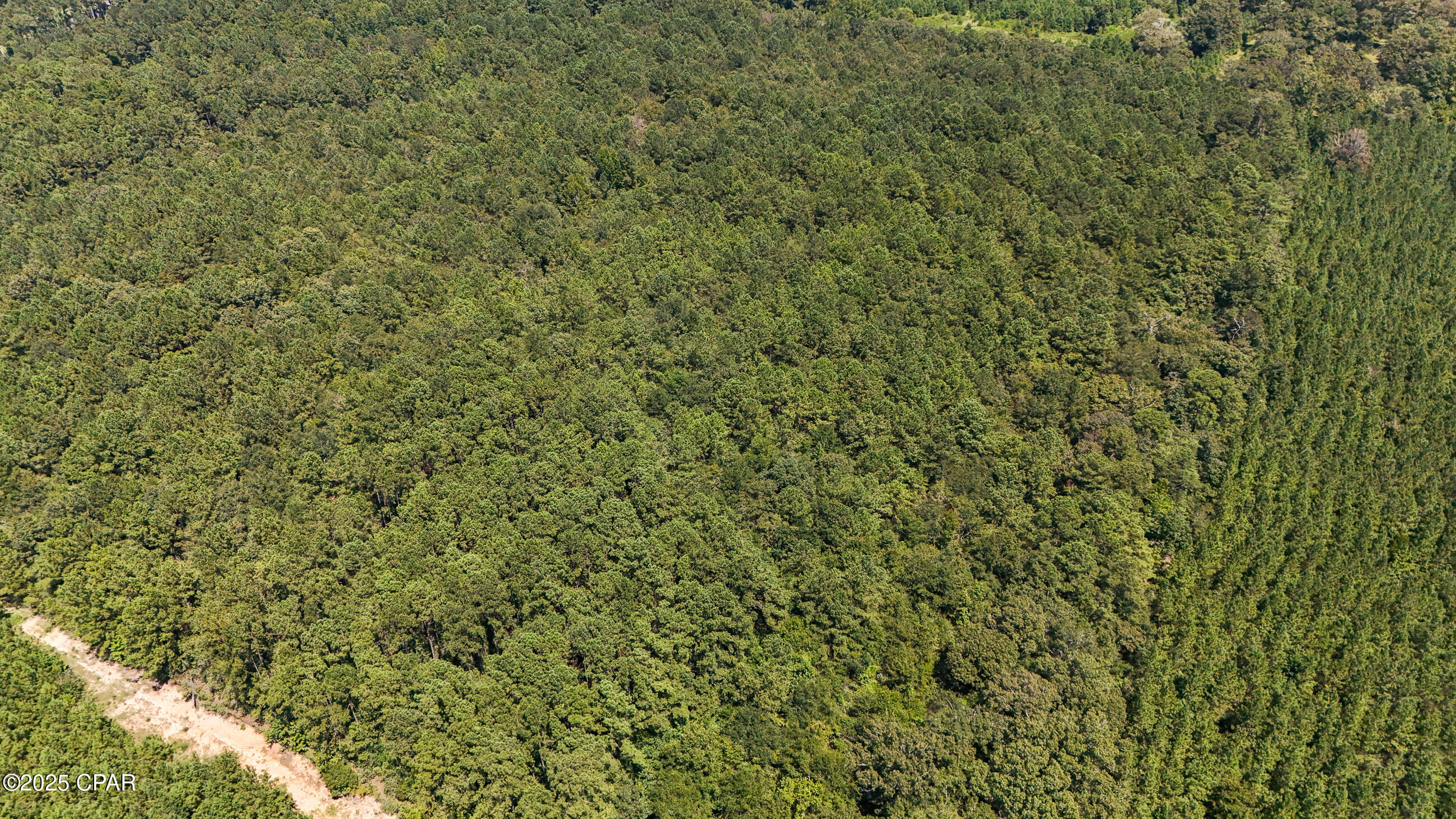 Image 9 For Tbd Lester Price Road