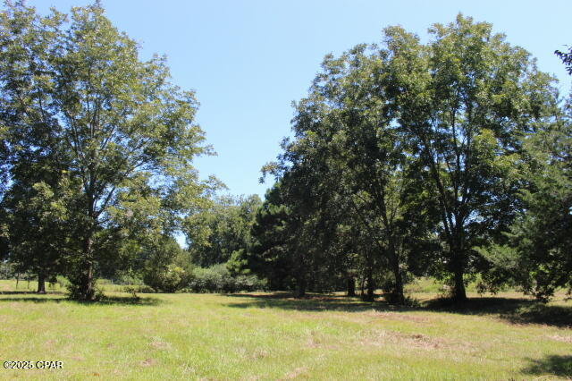Details for 1538 Highway 79, Bonifay, FL 32425