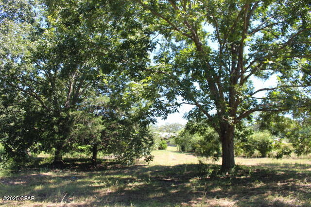 Image 14 For 1538 Highway 79