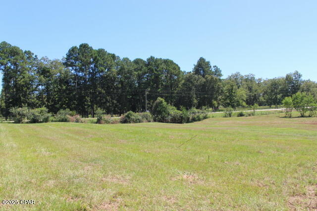 Image 23 For 1538 Highway 79