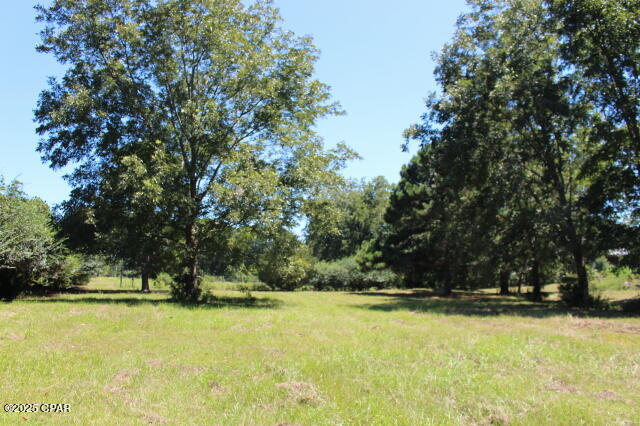 Image 3 For 1538 Highway 79