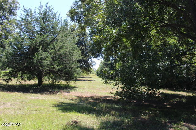Image 9 For 1538 Highway 79