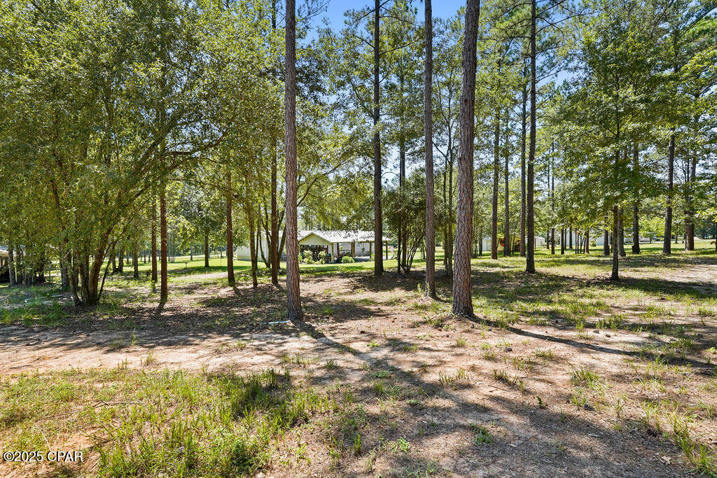 Image 45 For 7910 Sneads Landing Road